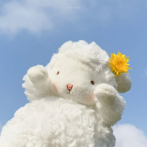 Sheep Pfp, Cute Lamb, Cute Sheep, Kawaii Plush, Kawaii Plushies, Cute Teddy Bears, Cute Stuffed Animals, Kawaii Wallpaper, Pastel Aesthetic