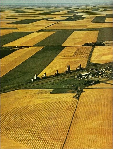 The Great Regina Plain, Saskatchewan. The size of Canada's territory posed a tremendous task for the early surveyors. Following a system devised in 1871, consisting of townships 6 miles square, each containing 36 sections of 640 acres, the Dominion land surveyors began to lay out the huge prairie checker board. One third of the distance between the 49th and 60th parallels across the width of the prairies was completed by 1910. With only minor adjustments, these early survey lines remain today. Farming Photo, Grain Elevators, Canadian Prairies, Farm Land, Canada Eh, Case Tractors, Saskatchewan Canada, O Canada, Of Montreal