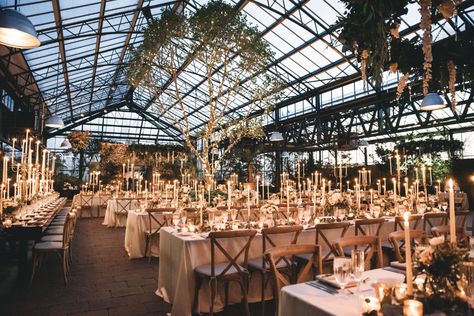 Planterra Conservatory Wedding, Planterra Conservatory, Greenhouse Venue, Conservatory Wedding, Winter Wedding Venues, Winter Greenhouse, Enchanted Garden Wedding, Conservatory Garden, Garden Theme Wedding