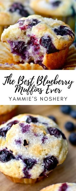 Yammie's Noshery: The Best Blueberry Muffins Ever The Best Blueberry Muffins, Blueberry Muffin Recipe, Best Blueberry Muffins, Berry Muffins, Blueberry Desserts, Muffin Recipes Blueberry, Homemade Muffins, Blueberry Muffin, Blueberry Recipes