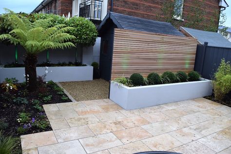 Shed Screening Ideas, Courtyard Garden Design, Bay Laurel Tree, Suburban Garden, Courtyard Gardens Design, Timber Fencing, Tree Fern, Garden Screening, Hidden Garden