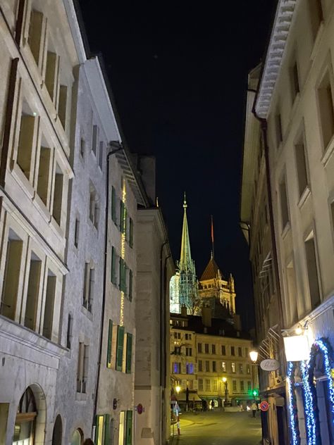 Switzerland Photography, Europe City, Cityscape Photography, Geneva Switzerland, City Girl, Zurich, Geneva, Night Life, At Night