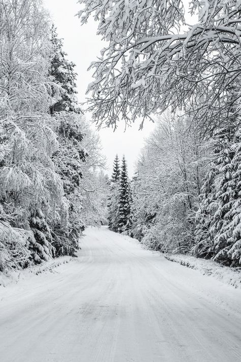 Background Snow Winter, White Winter Background, White Snow Background, Images Of Winter, Snow Background, Snow Images, Winter Whites, Winter Road, Winter Images