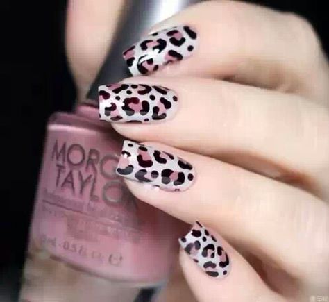 😍 Sophisticated Nails, Cheetah Nail Designs, Leopard Print Nails, Leopard Nails, Animal Nails, Animal Print Nails, Nails Polish, White Nail, Get Nails