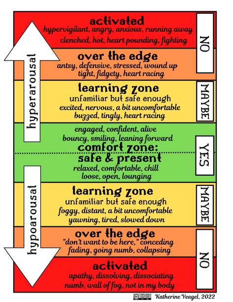 Regulating your nervous system with the window of tolerance – Katherine Yeagel The Window Of Tolerance, Windows Of Tolerance, Window Of Tolerance For Kids, Window Of Tolerance Activities, Regulate Nervous System, Tolerance Activities, Window Of Tolerance, Nervous System Regulation, Teaching Tolerance