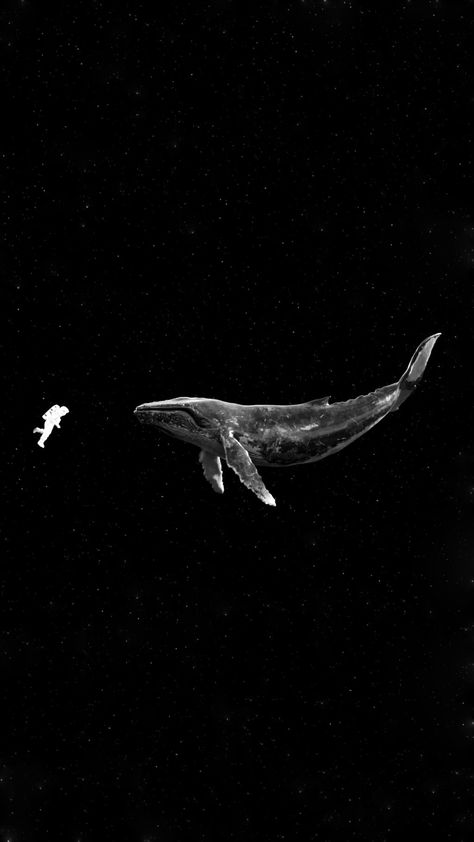 52 Hz Whale, 52hz Whale, Whale 52, Whale Wallpapers, Whales Wallpaper, Whale Wallpaper, Space Whale, Personalized Wallpaper, Black Ocean