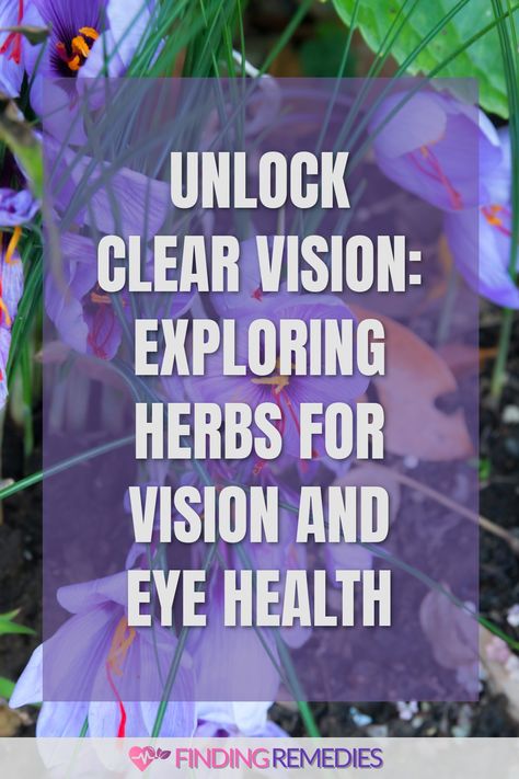 Unlock Clear Vision: Exploring Herbs for Vision and Eye Health Herbs For Eye Health, Herbs For Eyesight, Eye Vision Improvement, Dry Eye Remedies, Improve Eyesight Naturally, Eye Health Remedies, Eye Medicine, Good Eyesight, Village Witch