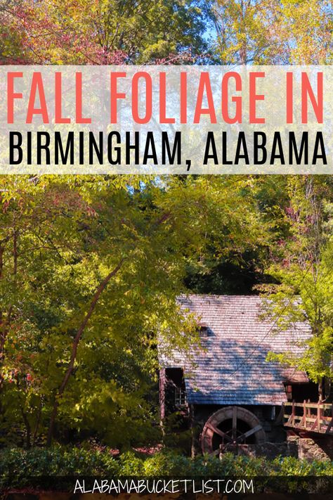 Fall foliage in Birmingham is plentiful so if you live in the Magic City, you don't have to drive far for vibrant, amazing fall colors! Fall Foliage in Birmingham | Alabama Bucket List | Birmingham | Birmingham, Alabama | Fall | Autumn | Fall Foliage | Fall Colors | Fall Drives in Birmingham | Where to Find Fall Foliage in Birmingham | Visit Birmingham | In Birmingham | Sweet Home Alabama | Visit Alabama | #birmingham #alabama #fall #foliage #autumn Alabama Bucket List, Visit Alabama, Alabama Birmingham, La Travel Guide, Fall Destinations, Southern Usa, Autumn Travel, Alabama Travel, Visit Usa