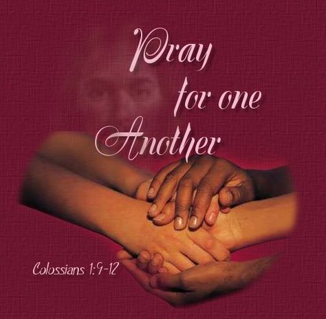 PLEASE - Pray for one another! Colossians 1:9 -12 Pray For One Another, Jw Inspiration, Prayer Changes Things, Colossians 1, Let Us Pray, Prayer Requests, Prayer Warrior, Dear Lord, Power Of Prayer