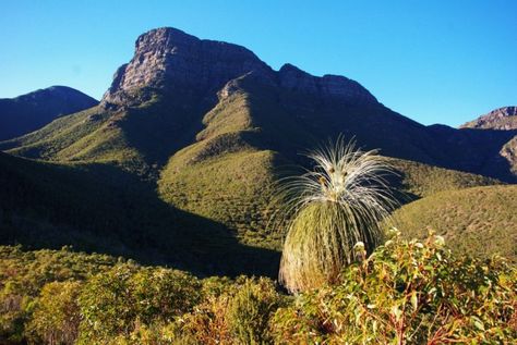 Bluff Knoll, Stirling Ranges, Western Australia Bluff Knoll, West Australia, Australian Travel, Perth Western Australia, Travel Australia, Stirling, Australia Travel, Western Australia, Us Travel