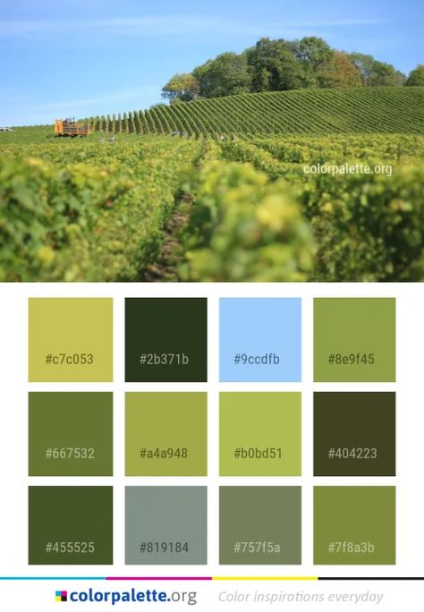 Sky Color Palette, Graphics Design Inspiration, Colors Inspiration, Dim Gray, Sky Color, Dark Olive Green, Rural Area, Graphics Design, Color Palettes