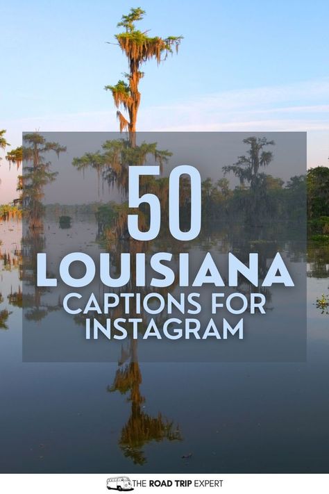 Louisiana Captions for Instagram Louisiana Bucket List, Creole Sayings Quotes, Raise Quotes, New Orleans Quotes, Welcome To Louisiana Sign, Tour Quotes, Adventure Captions, Captions For Instagram Posts, Louisiana Memes Funny