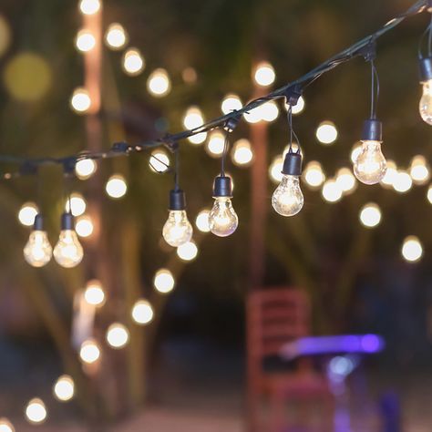 Outdoor Lighting Ideas, String Lighting, Solar Landscape Lighting, Backyard Lighting, Diy And Crafts Sewing, Design Seeds, Budget Backyard, Solar Garden, Solar Lights Garden