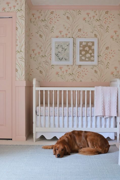 Poppy's Pretty Pink Nursery - Musings by Madison - Baby Girl Nursery Soft Pink Nursery, Sage Nursery, Pink Floral Nursery, Nursery Design Girl, Country Nursery, Floral Crib Sheet, Sweet Nursery, Big Girl Bedrooms, Yellow Nursery