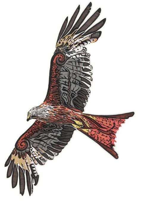 Red Kite Tattoo Design, Red Kite Drawing, Red Kite Bird Tattoo, Kite Bird Drawing, Red Kite Tattoo, Falcon Line Art, Kite Illustration, Welsh Tattoo, Kite Tattoo