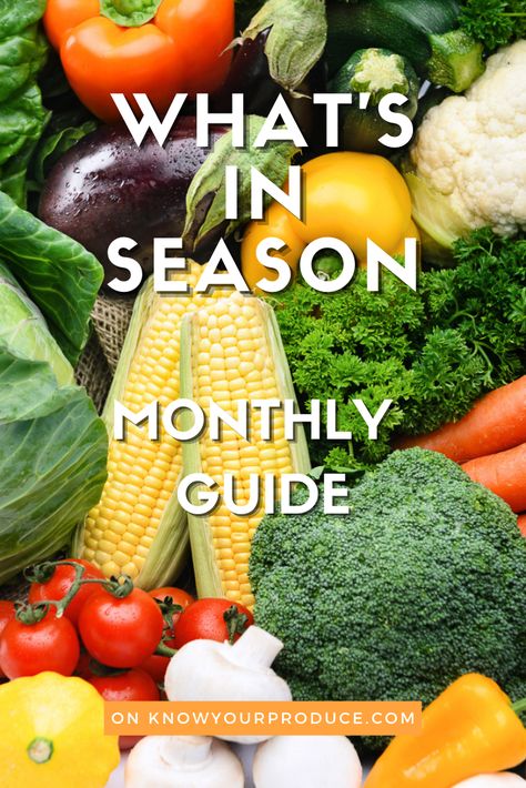 Fruit And Veggies In Season, What Food Is In Season, Seasonal Fruit And Vegetable Chart, Fall Season Vegetables, In Season Veggies And Fruits, Fruit And Vegetable Season Chart, February Fruits In Season, Fruits And Veggies In Season By Month, Spring Vegetables In Season