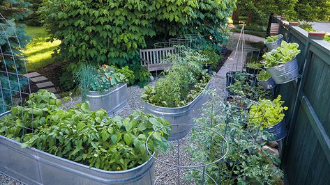 Galvanized Veggie Garden, Raised Garden Beds Metal Trough, Horse Trough Vegetable Garden, Trough Container Garden, Feed Trough Garden, Garden Design Galvanized, Galvanized Trough Garden, Water Trough Raised Garden Beds, Galvanized Raised Garden Beds Landscape Design