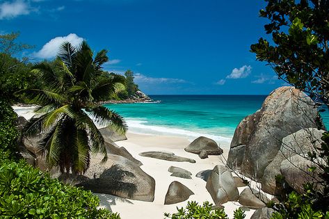 Tourism Design, Seychelles Islands, Bucket List Vacations, Puerto Rican Culture, Tropical Beaches, Dream Beach, Beach Wallpaper, Paradise On Earth, Private Island