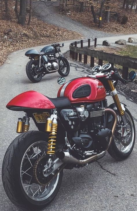 Thruxton 900, Bobber Scrambler, Triumph Moto, Custom Triumph, Honda 750, Triumph Cafe Racer, Best Motorbike, Triumph Motorcycle, Scrambler Custom