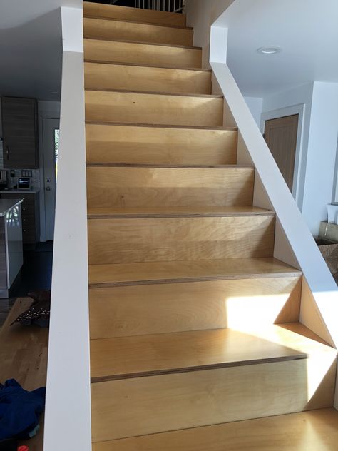 3/4 Baltic Birch Plywood tread. 1/4 Baltic Birch Plywood riser. Plywood Staircase, Plywood Stairs, Stair Treads And Risers, Compact Staircase, Stairs Treads And Risers, Finished Plywood, Glen Arbor, Treads And Risers, Marine Plywood