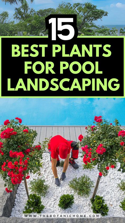 A beautiful above-ground pool area showcasing the 15 best plants for poolside spaces. Includes various plants for pool area to inspire your poolside landscaping. Swimming Pool Border Ideas, Landscape Ideas Around Pool Area, Simple Landscaping Around Pool, Plants Next To Pool, Simple Pool Landscaping Backyard, Best Plants Around The Pool Full Sun, Flowers Around Pool Area, Landscaping Pool Area Backyard Ideas, Landscape Around Pool Inground