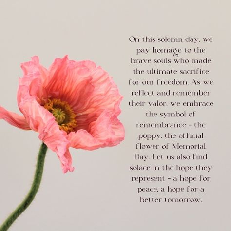 On this solemn day, we pay homage to the brave souls who made the ultimate sacrifice for our freedom. As we reflect and remember their valor, we embrace the symbol of remembrance - the poppy, the official flower of Memorial Day. Let us also find solace in the hope they represent - a hope for peace, a hope for a better tomorrow.⁠ ⁠ #MemorialDay #Poppies #Flowers #FloralBeauty #FloralSymbolisim⁠ #Indianapolis #Carmel #Fishers #Noblesvilles #Greenfield #Westfield #NewPalestine #Indiana Roses Luxury, A Better Tomorrow, Better Tomorrow, Brave Soul, The Hope, Tomorrow Will Be Better, The Brave, Memorial Day, Indiana