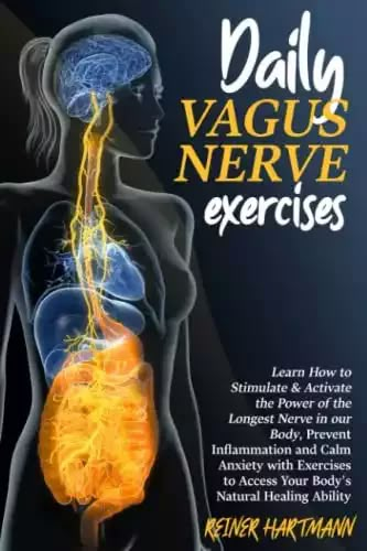 Vegas Nerve, Nerve Exercises, Nervous System Healing, Vagus Nerve Stimulator, Nervus Vagus, Nerve Health, Vagus Nerve, Health And Fitness Articles, Qi Gong