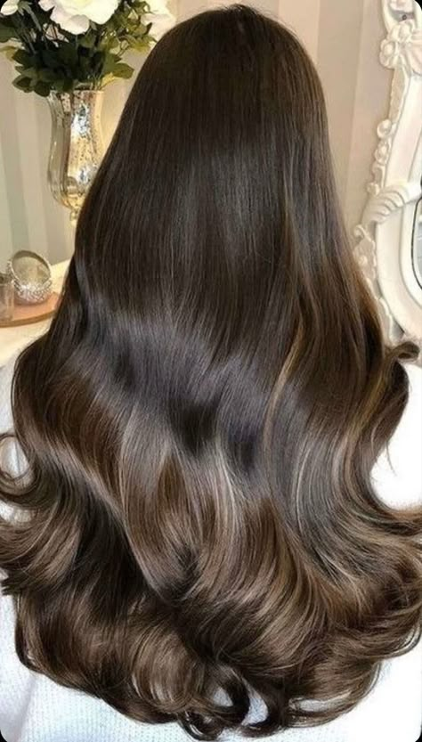 Ariel Hair, Hair Motivation, Long Shiny Hair, Blowout Hair, Hair 2024, Haircuts For Long Hair, Brunette Girl, Beautiful Long Hair, Hair Inspo Color