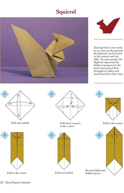 Easy Origami Animals - page 3 of 6 (Squirrel - 1 of 2) Squirrel Origami, Easy Origami For Beginners, Origami Squirrel, Origami Instructions For Kids, Origami Guide, Easy Origami Animals, Origami Tutorial Easy, Origami Star Box, Origami Diagrams