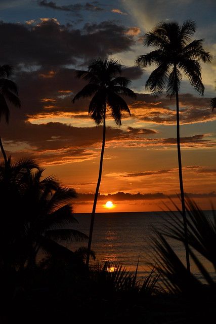 Rincon Sunset | Sunset view from Rincon of the Seas balcony | Elier Torres | Flickr Sun Set Pictures, Sun Sets, Sunset Balcony Aesthetic, Sunset From Balcony, Sun Set, Sunrise From Balcony, Sun Set Real Pic, Ocean View From Balcony, Cute Cat Wallpaper