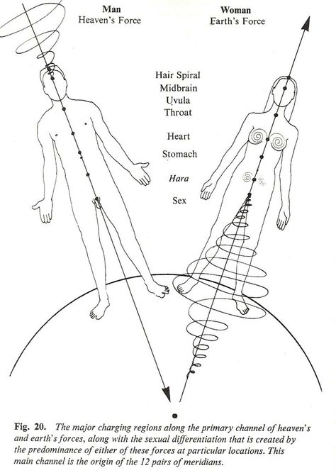 Sacred Geometry Meanings, Polarity Therapy, Chakra Health, Pranic Healing, Magia Das Ervas, Sacred Science, Endocannabinoid System, Spiritual Journals, Healing Art