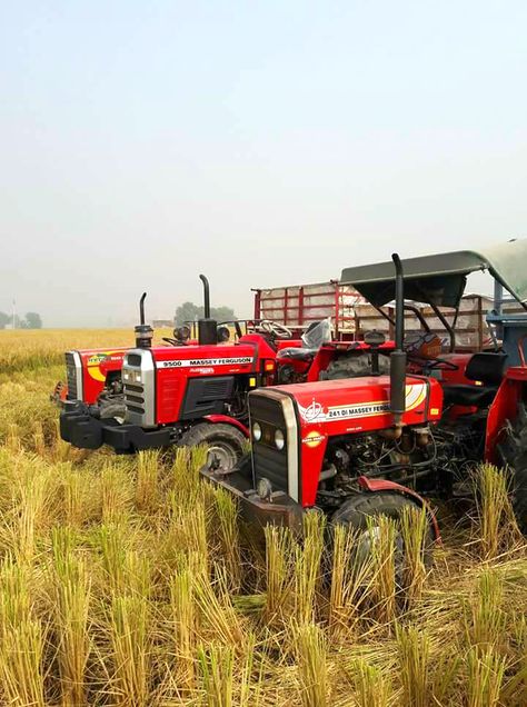 Once you experience a #Massey, you won’t stop with just one! #Power your #farms and increase your #productivity with the super #efficient and #versatile range of #MasseyFerguson #tractors from #TAFE.   Which is your #favorite #MF tractor? Do post pictures and let us know in the comments section below. Tractor Snapchat, Massey Tractor, Massey Ferguson Tractors, Old Tractors, Massey Ferguson, Farm Tractor, Post Pictures, Tractor, Snapchat