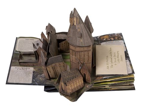 Harry Potter: A Pop-Up Guide to Hogwarts – Insight Editions Harry Potter Pop Up, Quidditch Pitch, Harry Potter 3d, Harry Potter Pop, Pop Book, Hogwarts Acceptance Letter, Ford Anglia, School Of Witchcraft, Hogwarts Castle