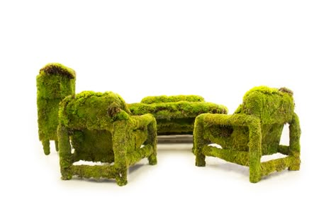 living moss furniture on Behance Moss Design, Dubai Design Week, Moss Art, Green Interiors, Take A Seat, Shape Design, Design Furniture, Future House, Installation Art