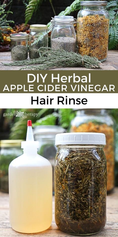 Hair Rinse Recipe, Acv Hair Rinse, Acv Hair, Apple Cider Vinegar Hair, Herbal Hair Rinse, Apple Cider Vinegar Hair Rinse, Diy Apple Cider, Vinegar Hair Rinse, Apple Cider Vinegar Rinse