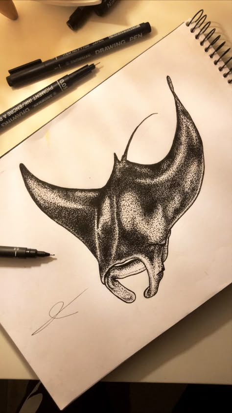 Drawing Manta Ray, Man Ray Tattoo, Manta Ray Drawing Sketch, Manga Ray Tattoo, Stingray Drawings, Sting Ray Drawings, Mantaray Drawing, Manta Ray Tattoo Design, Stingray Sketch