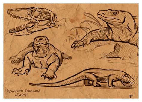 dragon de komodo draw - Búsqueda de Google Dragons Drawings, Animal Art Reference, Comodo Dragon, Practice Sketching, Reptile Art, Nature Sketches, Komodo Dragons, Fursona Ideas, Graphic Novel Illustration