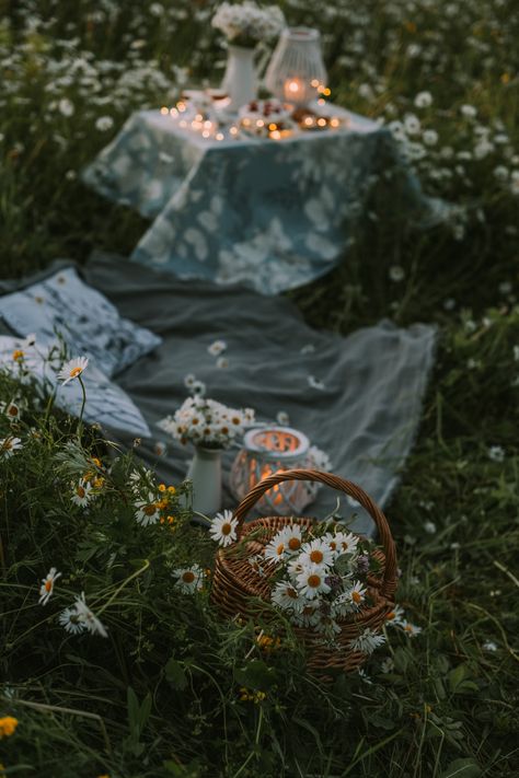 A picnic in the middle of a field of flowers photo – Free Daisy Image on Unsplash Background Screensavers, Daisy Image, A Field Of Flowers, Flowers Photo, Field Of Flowers, Picnic Food, Flower Petal, Flower Images, Flower Field