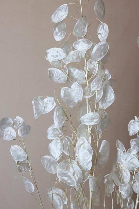 Natural Dried Lunaria Bunch Flower Arrangement Dried Flowers image 1 Dried Lunaria, Bunch Flower, Home Table Decor, Dried Bouquet, Flowers Dried, Petal Flower, Collage Design, Bright Flowers, Bougainvillea