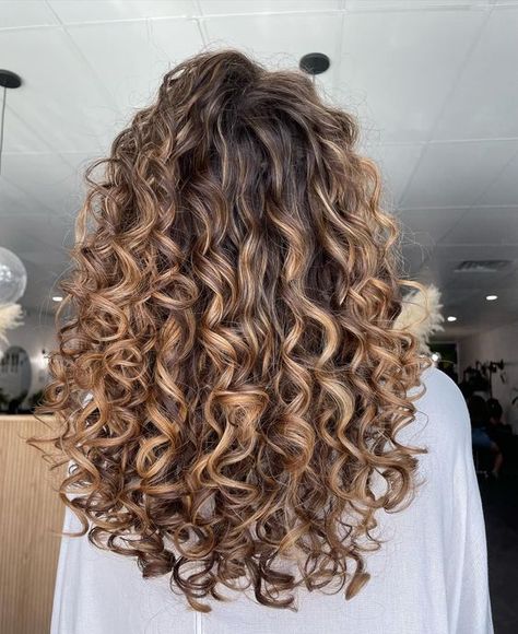 French Balayage Hair, Highlights On Light Brown Hair Curly, Natural Curl Balayage, Brunette Hair With Babylights Highlights, Brunette Curls With Highlights, Curly Blonde Brown Hair, Balayage On Brown Curly Hair, Balayage Curly Hair Natural Curls Dark Brown Blonde, Blonde Balayage On Brown Hair Curly