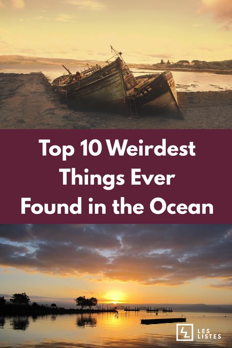 The oceans are arguably the most mysterious places on Earth. We have always been both fascinated and scared of it. Check out the list below for the top 10 weirdest things ever found in the ocean! Mysterious Things In The World, Weird Things Found In The Ocean, Things Found In The Ocean, Ocean Mysteries, Mysterious Places On Earth, Diy Science, Places On Earth, Mysterious Places, Weird Things