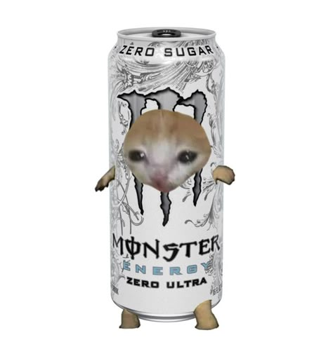 Sad cat in a monster can, zero ultra, white Funny Looking Cats, Silly Cats Pictures, Cat Drinking, Cat Icon, Cat Costumes, Funny Profile Pictures, Monster Energy, Funny Cute Cats, Silly Cats