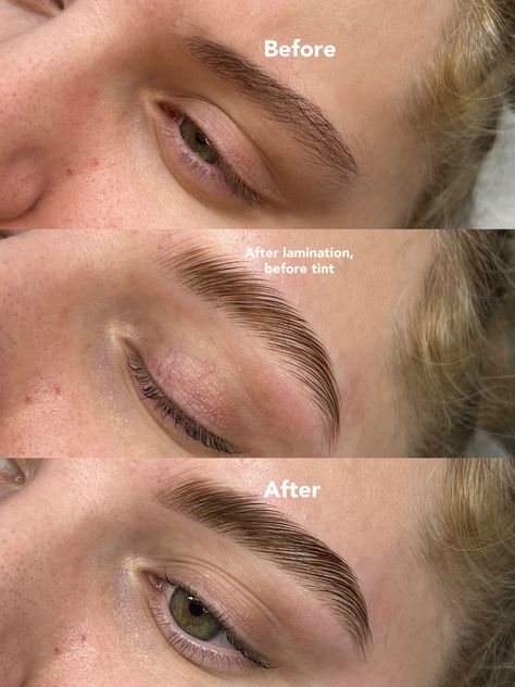 Wanted to share what your brows potential could be. We waxed and laminated in the second picture and tinted with a hybrid dye for the final result. We absolutely loves it 💌 Brow Wax And Tint Before And After, Natural Laminated Brows, Laminated And Tinted Brows, Brow Lamination And Tint, Hybrid Brows, Brow Wax And Tint, Brow Dye, Laminated Brows, Eyelash Extensions Classic