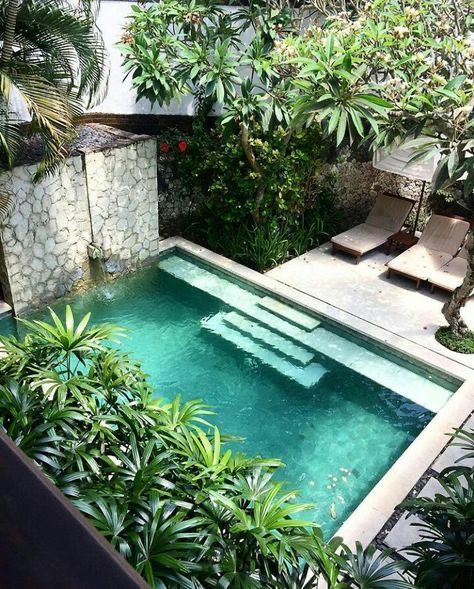 Small Courtyard Gardens, Small Swimming Pools, Courtyard Gardens Design, Pool Landscape Design, Small Pool Design, Tropical Pool, Small Courtyards, Gardening Design, Small Pools