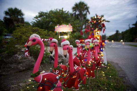 Florida Christmas, Hawaiian Christmas, Beachy Christmas, Flamingo Decor, Tropical Christmas, Flamingo Christmas, Christmas Parade, Beach Christmas, Christmas Yard