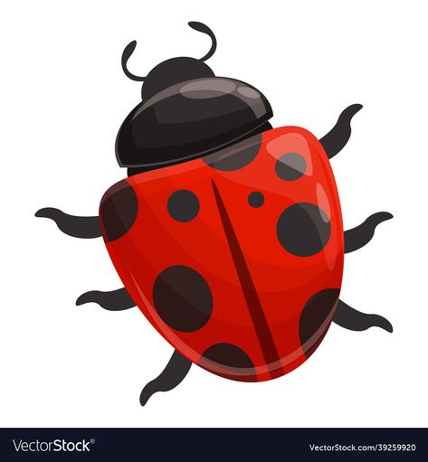 Bug Vector, Beetle Cartoon, Ladybug Insect, Cartoon Flower, Cartoon Flowers, Bugs, Adobe Illustrator, Insects, Vector Images