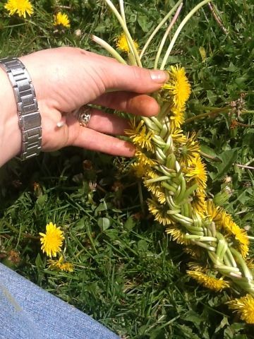 How to make a dandelion or flower crown! Dandelion Crown, Flowers Crown, Pagan Crafts, A Dandelion, New Flowers, Witchy Crafts, Crown Tattoo, Hippie Life, May Day