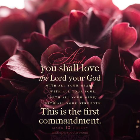 mar-12-30-KJV-unsplash First Commandment, Mark 12 30, Jesus Printable, Butterfly Quotes, Beautiful Bible Verses, Scripture Pictures, Faith Bible, Song Of Solomon, Biblical Verses