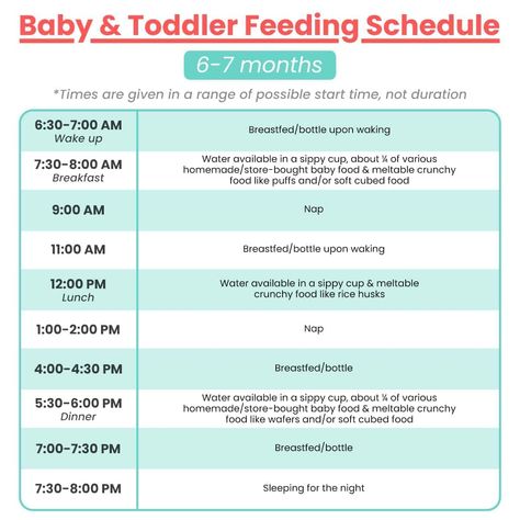 6 - 7 Month Old Feeding Schedule with Free Printable 7 Month Old Feeding Schedule, 6 Month Old Feeding Schedule, 7 Month Old Schedule, 6 Month Old Schedule, Emma Food, Food Schedule, Baby Food Schedule, 7th Month, 5 Month Old Baby