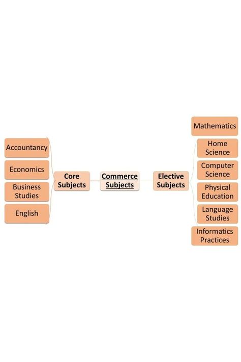 Commerce involves a complex study of the business world and its aspects. In particular, there are 4 mandatory Commerce subjects in class 11th and is complemented with a fifth optional subject. Commerce Class 11, Commerce Subject, Commerce Stream, Class 11, Business Studies, Information Processing, Board Exam, Career Planning, Language Study